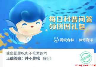 鲨鱼都是吃肉不吃素的吗 蚂蚁森林神奇海洋10月31日答案