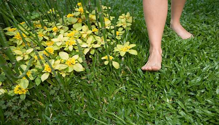 梦见自己赤脚走路很顺