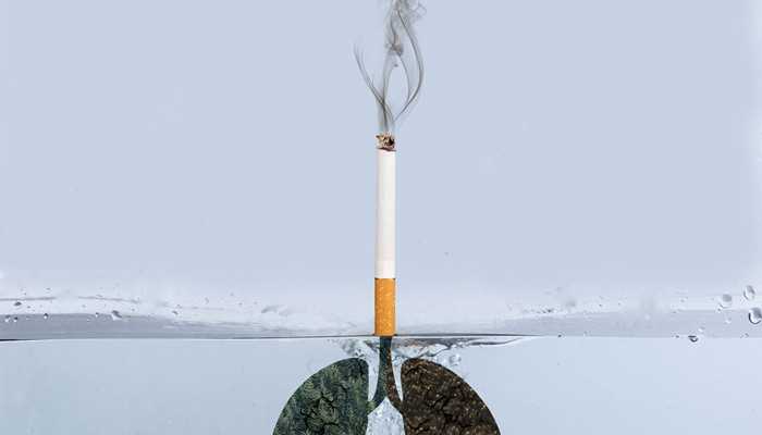 烟的品种有烤烟、晒烟、白肋烟、香料烟、黄花烟、混合烟