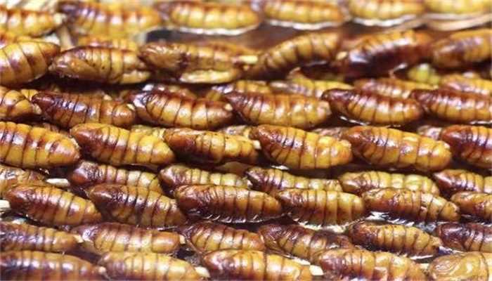 梦见蛆是什么意思