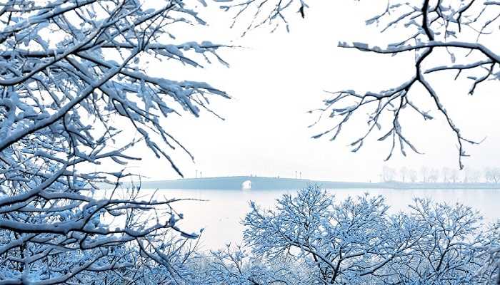 已婚女人梦见下鹅毛大雪