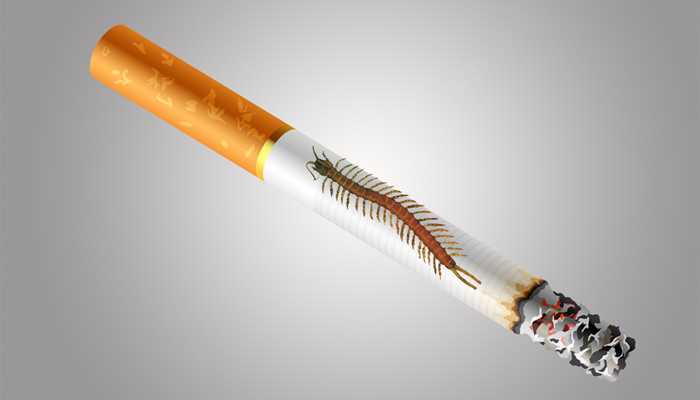 做梦被蜈蚣咬到手是什么意思