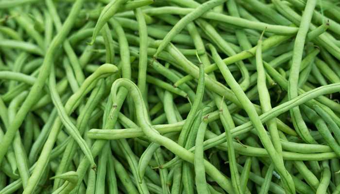 怀孕的人梦见偷别人地里的豆角