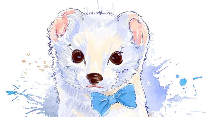 梦见黄鼠狼是什么意思