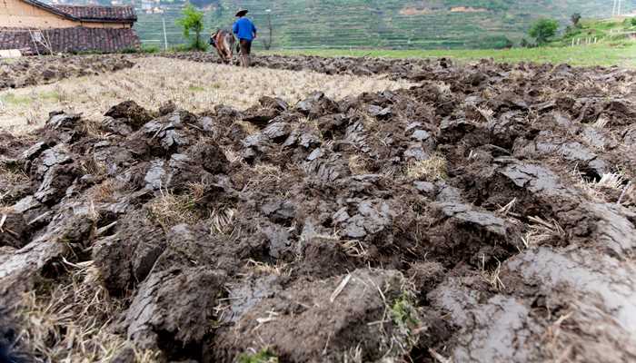 女人梦见自己挖土翻地