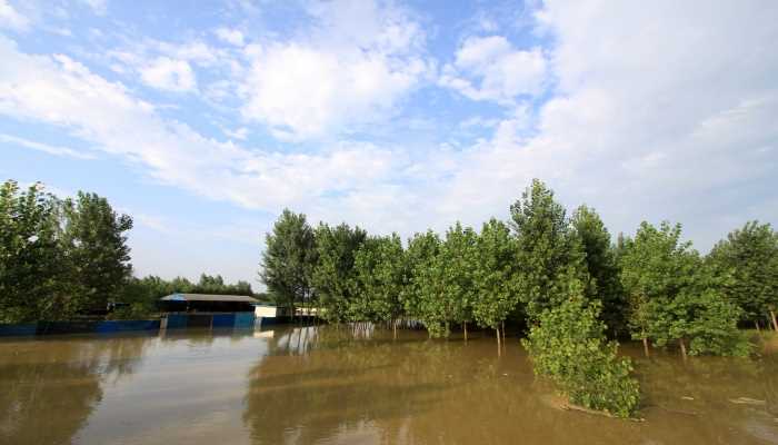 女人梦见房屋被水冲塌(不同的人梦见房屋被水冲塌的梦境解析)