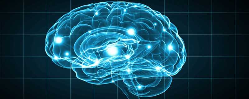 人的大脑主要有五个功能(控制运动的功能、情感和情绪、认知功能)