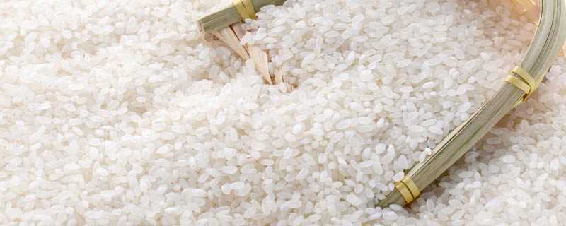 粳米在超市叫什么(粳米在超市一般叫珍珠米、东北大米和江苏圆米。)