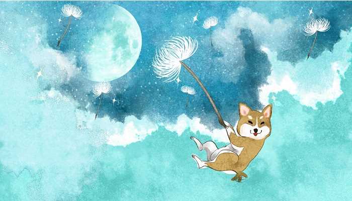 什么生肖仰着睡觉