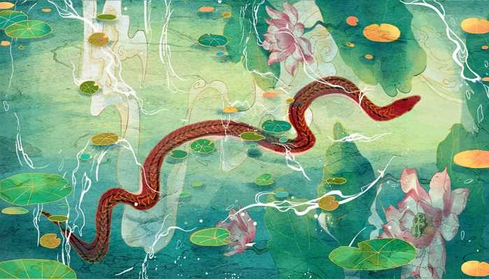 穿金戴银戴兰花开过什么生肖(穿金戴银戴兰花开过是生肖蛇)