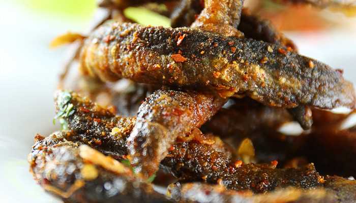 梦见泥鳅黄鳝预示着什么