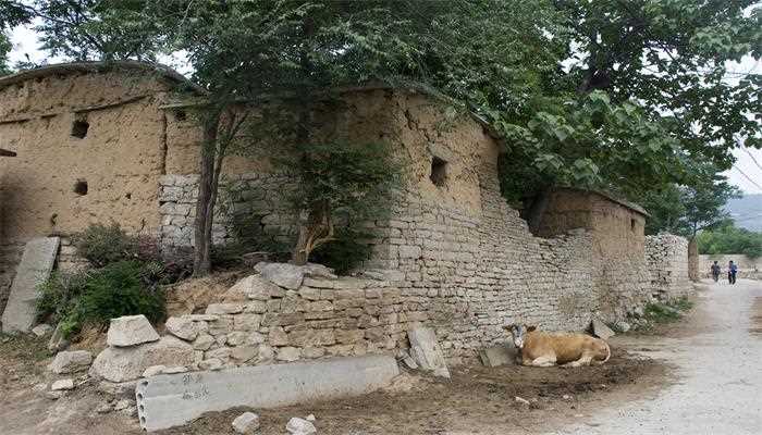 梦见土房子是什么意思(不同的人梦见土房子的梦境解析)