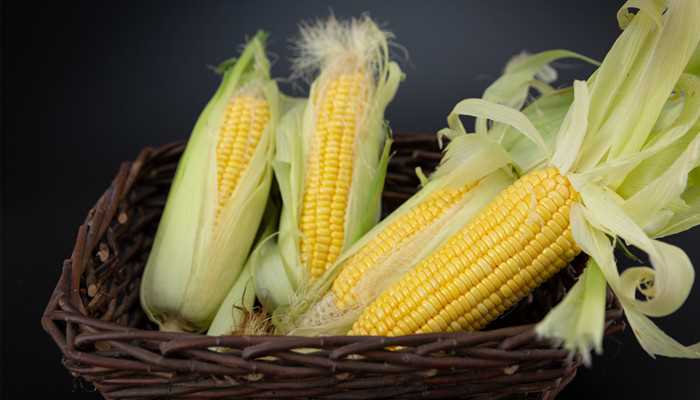 玉米种类(玉米的食用功效)