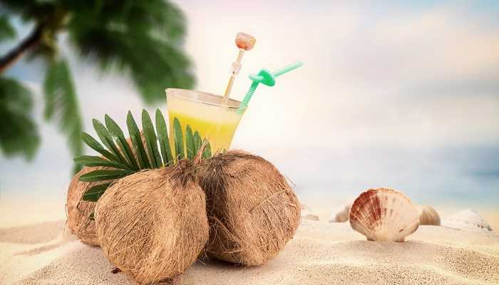 青椰子汁的功效与禁忌(椰子汁有护肤美容、有益胎儿健康、净化血液、补充体力的作用)