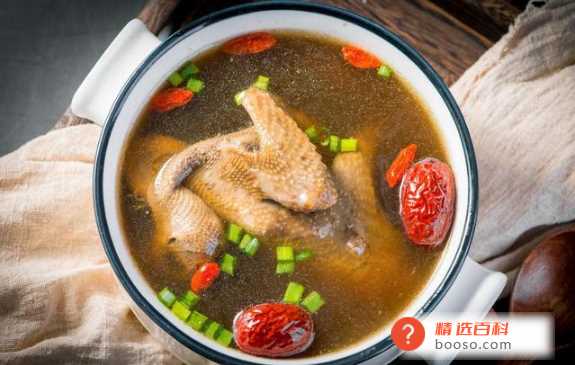 鸽子汤的营养在汤里还是肉里(鸽子汤的营养价值有哪些)