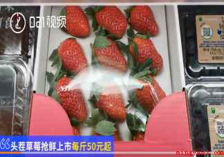 草莓上市部分品种近200元一斤 今年草莓怎么这么贵