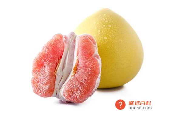 柚子包裹果肉的白色膜叫什么