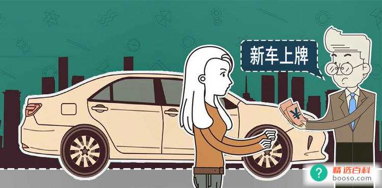 机动车上牌照需要多少钱