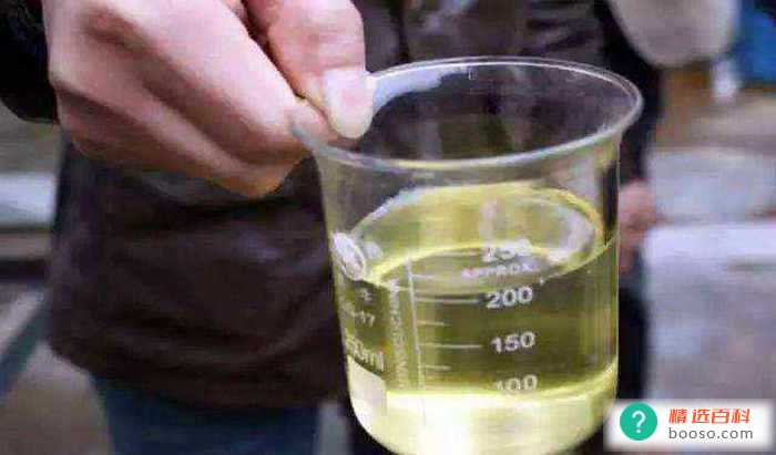 你知道汽油燃点多少度吗