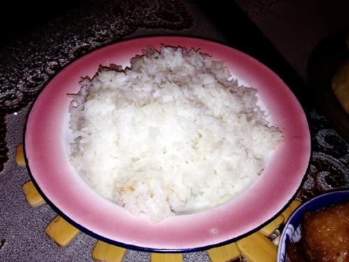 兔子能吃大米饭吗???
