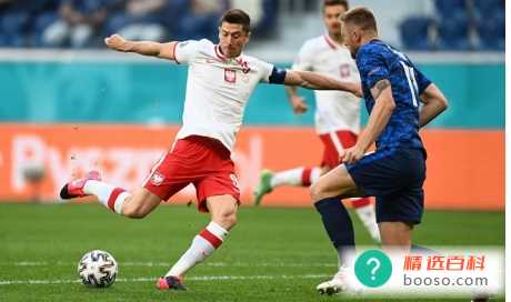 法国VS波兰交战记录大全（15次交手）