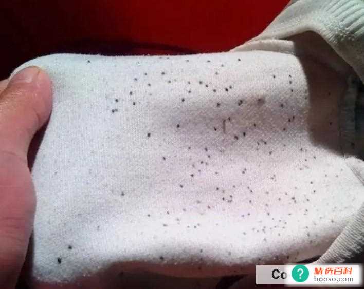 衣服为什么发霉了