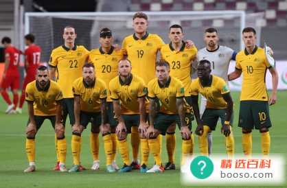  澳大利亚队2022世界杯小组赛成绩（2胜1负）
