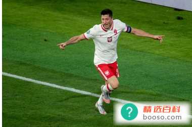 法国vs战波兰历史（波兰3:2法国）