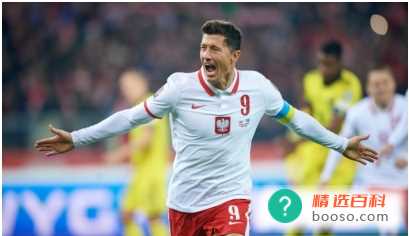 世界杯法国vs波兰谁更厉害（法国队）