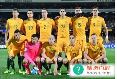  澳大利亚队2022世界杯小组赛成绩（2胜1负）