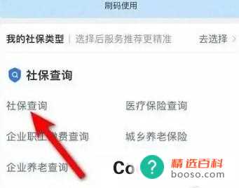 外地社保如何查询(外地社保的各个详细内容怎样查询)