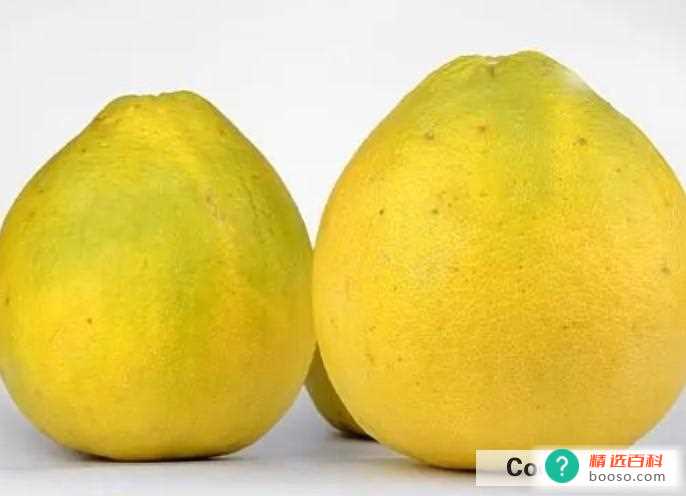 怎么挑选柚子(挑选柚子时需要注意其他方式)
