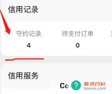 微信怎样查看支付分守约记录(怎样查看支付分守约记录)