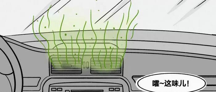 汽车进水有霉味多久才能去掉 车内霉味去除方法