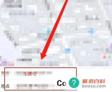 怎样通过车牌号找到车主(怎样通过车牌号找车主)