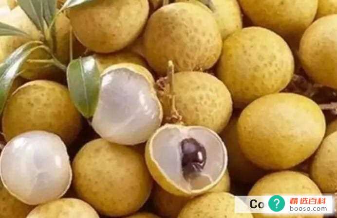 怎么保存桂圆(吃桂圆时的注意事项)