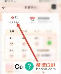 网易云音乐如何查看云贝账单(云贝账单在哪里怎样查看)