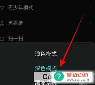 快点阅读怎样设置主题模式为深色模式