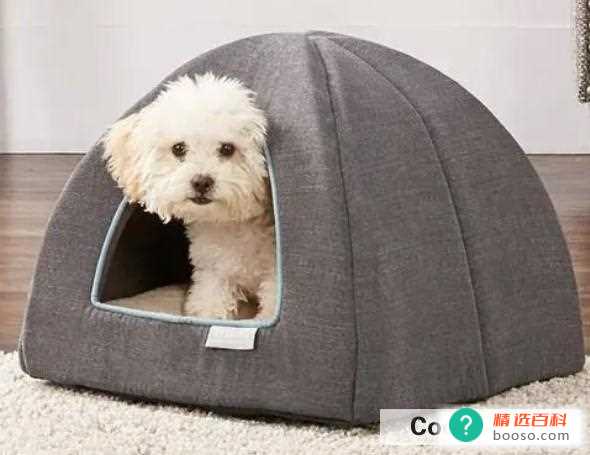 狗窝怎么挑选