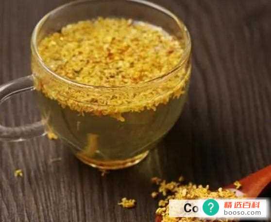 喝桂花泡茶的好处