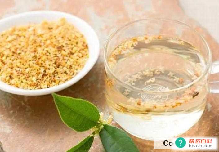 什么人适合喝桂花茶(体质偏寒的人可以适当喝桂花茶吗)