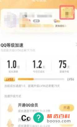 qq等级全球排行榜在哪看(qq等级能查看个人在全球的排行榜吗)