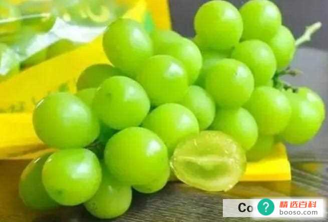 阳光玫瑰葡萄怎么保存(储存阳光玫瑰时的注意事项)