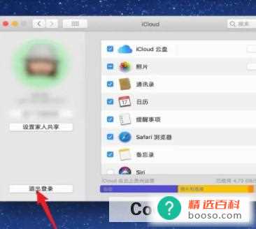 苹果电脑退出apple id