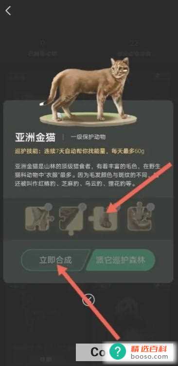 支付宝蚂蚁森林亚洲金猫怎么获得