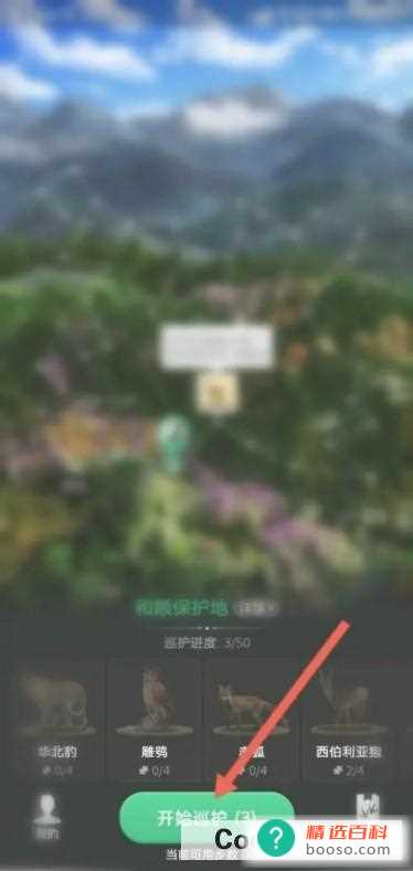 支付宝蚂蚁森林亚洲金猫怎么获得