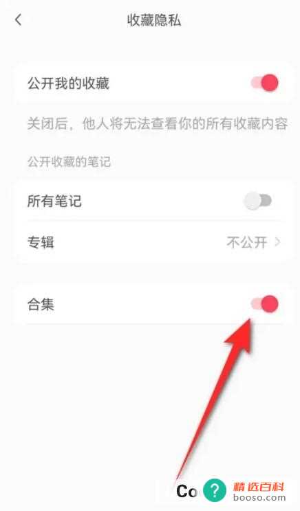 小红书收藏合集公开与否如何设置