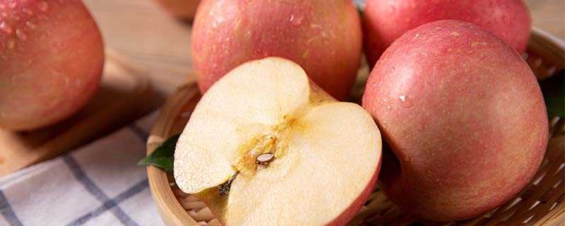 苹果属于什么性水果(陕西浓缩苹果汁产量和出口量全国第一)