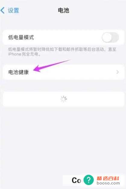 苹果手机电池容量怎么看