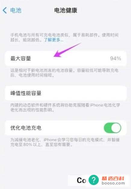 苹果手机电池容量怎么看